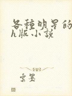 各种明星的综艺h版小说