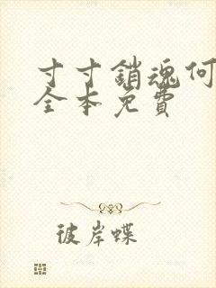 寸寸销魂何生祥全本免费