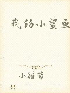我的小鲨鱼