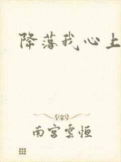 降落我心上封面