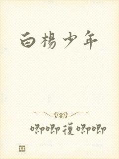 白杨少年