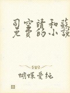 司空靖和苏月汐免费的小说笔趣阁