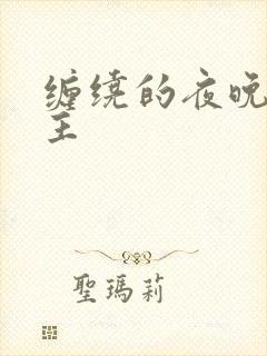 缠绕的夜晚双男主封面