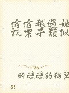 偷偷越过她by甄栗子类似小说封面