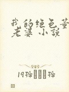 我的绝色董事长老婆 小说