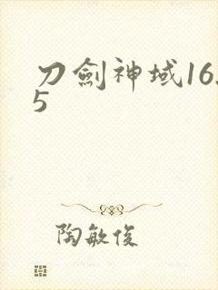 刀剑神域16.5