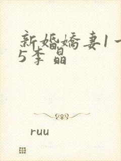 新婚娇妻1一25李晶封面