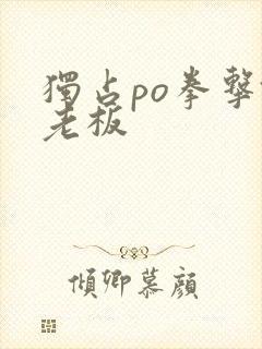 独占po拳击馆老板