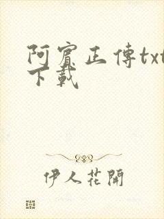 阿宾正传txt下载