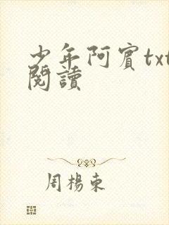少年阿宾txt阅读封面