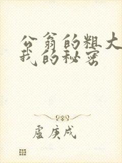 公翁的粗大放进我的秘密