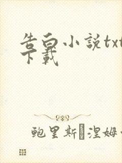 告白小说txt下载