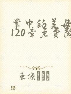 掌中的美母版主120章免费阅读