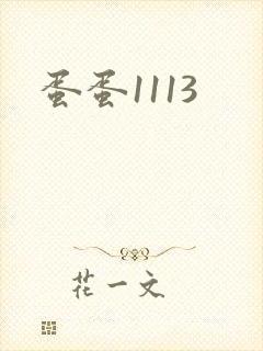 蛋蛋1113