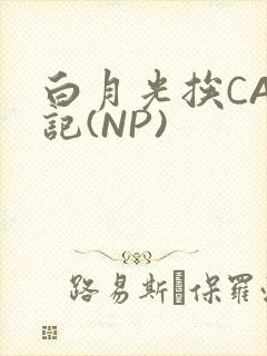 白月光挨CAO记(NP)封面