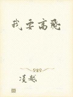 我要高飞封面