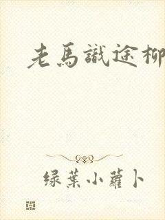 老马识途柳娇娇