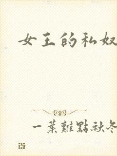 女王的私奴封面