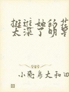 挺进她的花苞啊太深了明星小说封面