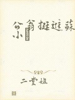 公翁挺进苏玥的小泬
