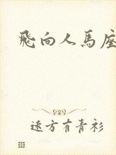 飞向人马座