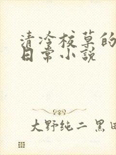 清冷校草的堕落日常小说