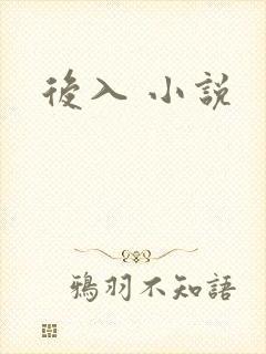后入 小说