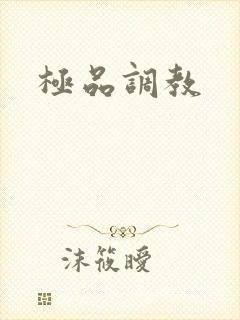 极品调教封面
