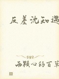 反差沈知遇晏应