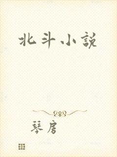 北斗小说