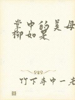 掌中的美母版主柳如是