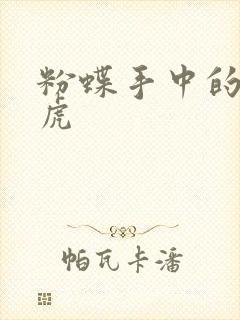粉蝶手中的纸老虎封面
