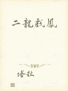 二龙戏凤