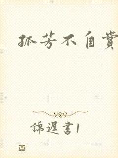 孤芳不自赏小说封面