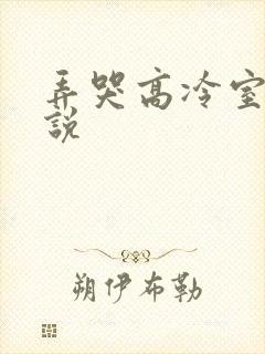 弄哭高冷室友小说
