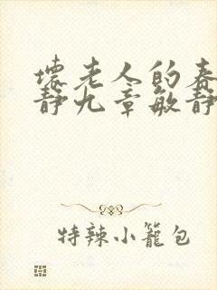 坏老人的春天敏静九章敏静封面