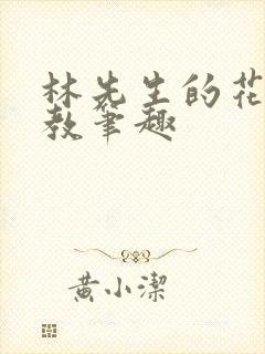 林先生的花式管教笔趣