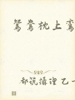 鸳鸯枕上鸾凤颠封面