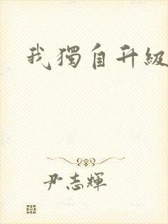 我独自升级小说