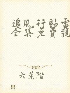 追风行动电视剧全集免费观看封面