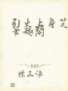 引火上身芝麻糖笔趣阁