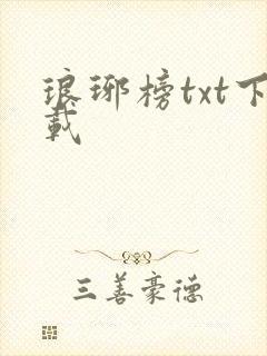 琅琊榜txt下载