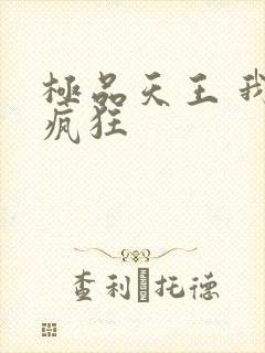 极品天王 我本疯狂