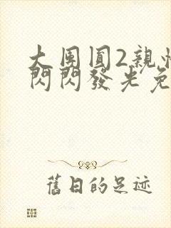 大团圆2亲情会闪闪发光免费