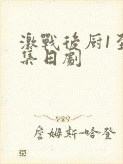 激战后厨1至5集日剧封面