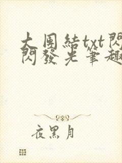 大团结txt闪闪发光笔趣阁