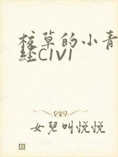 校草的小青梅不经C1V1封面