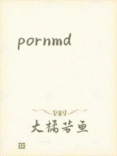 pornmd封面