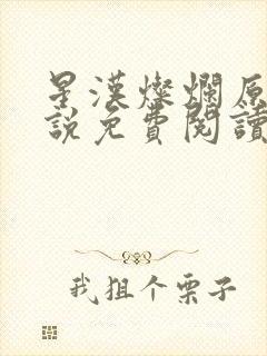 星汉灿烂原著小说免费阅读