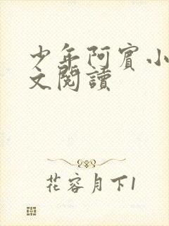 少年阿宾小说全文阅读